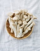 친환경 GAP 머쉬마루 버섯 460g