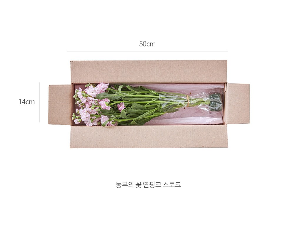 자세히보기 이미지