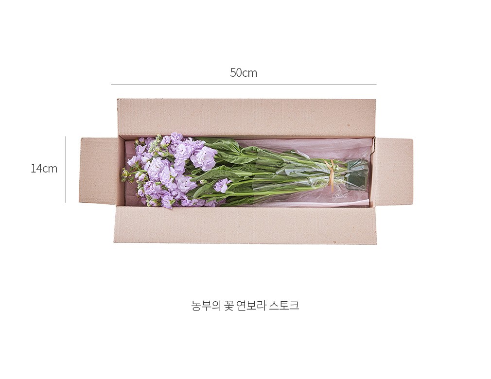 자세히보기 이미지