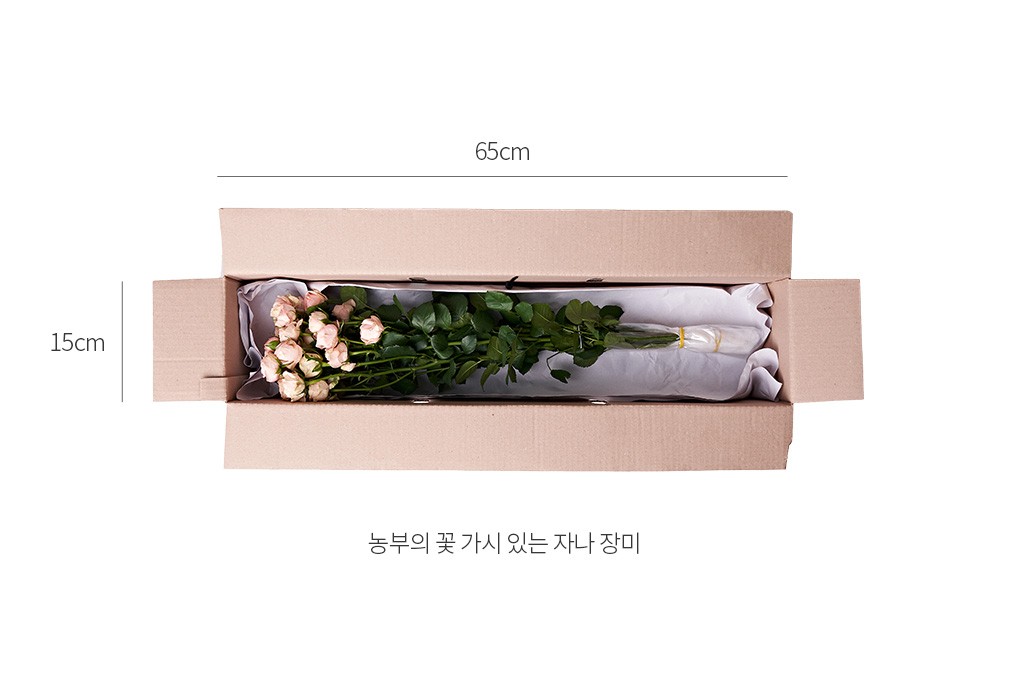 자세히보기 이미지