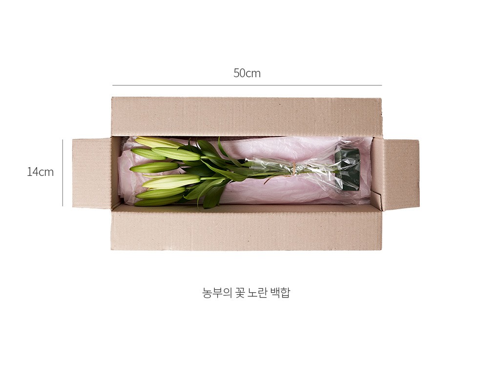 자세히보기 이미지