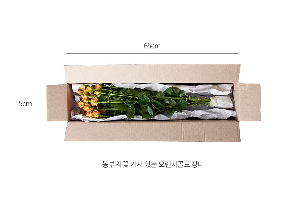 자세히보기 이미지