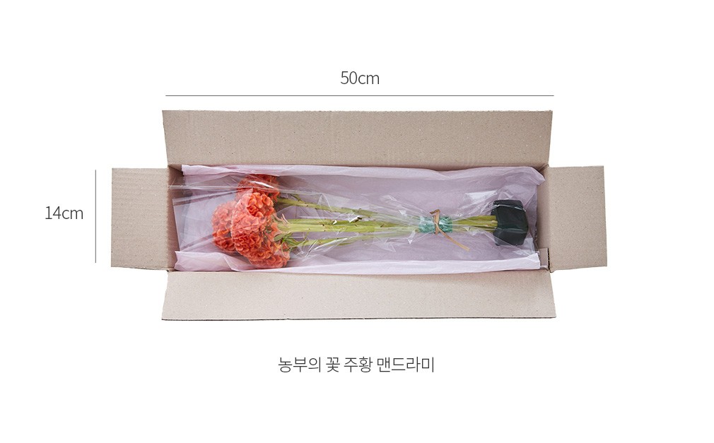 자세히보기 이미지