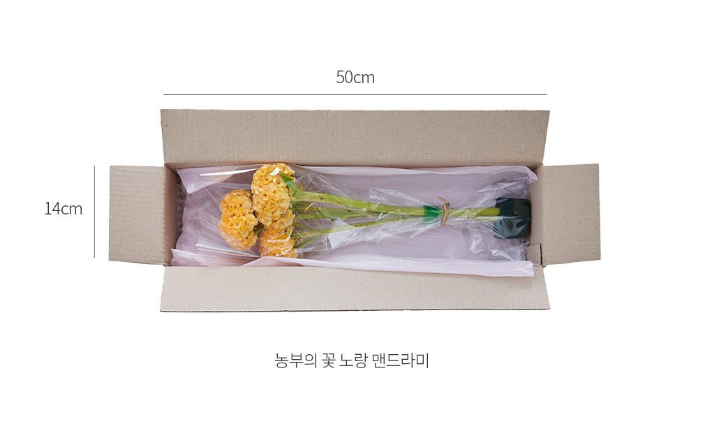 자세히보기 이미지