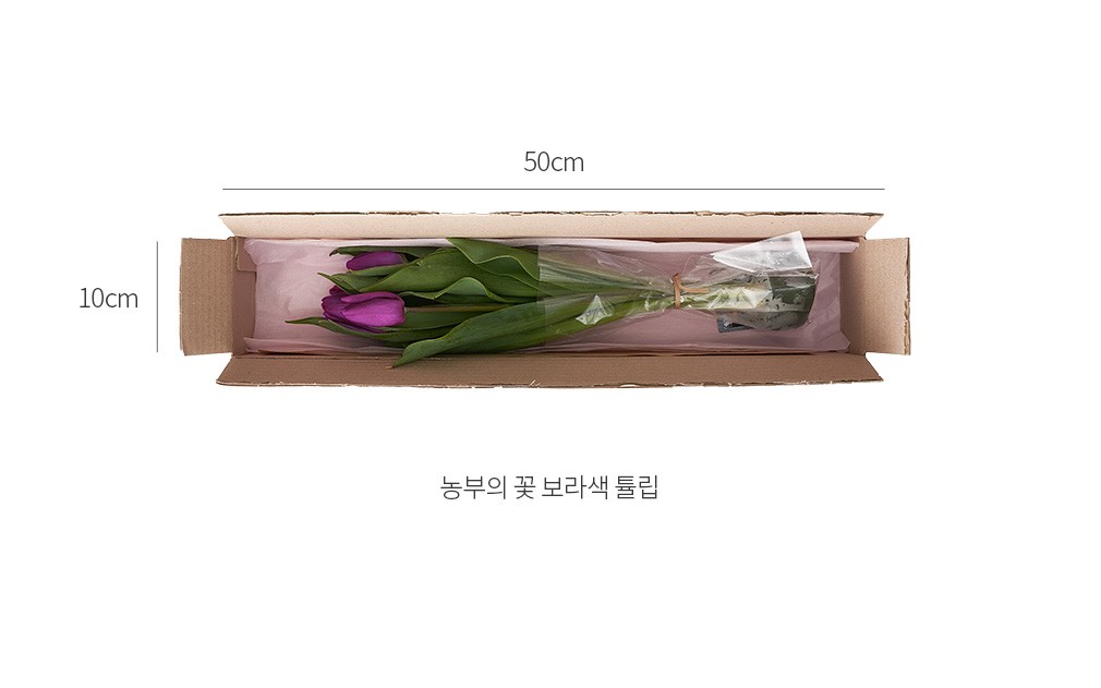 자세히보기 이미지