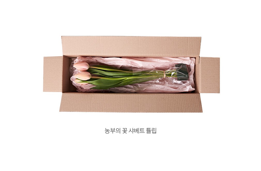 자세히보기 이미지
