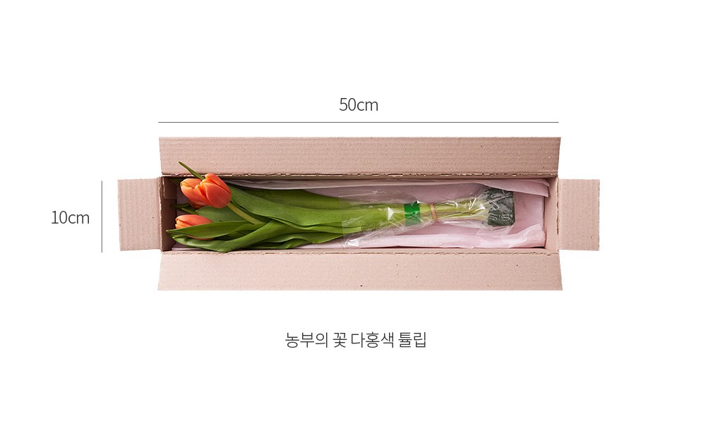 자세히보기 이미지