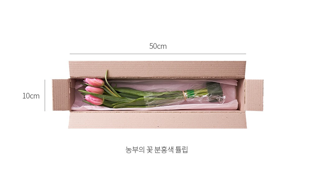 자세히보기 이미지