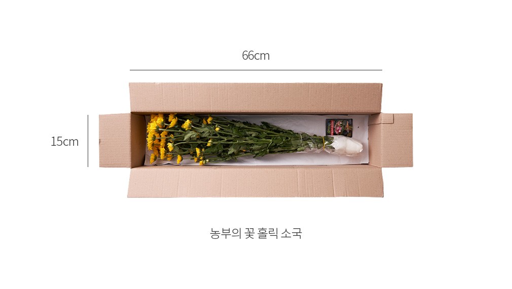 자세히보기 이미지