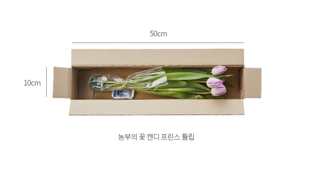 자세히보기 이미지
