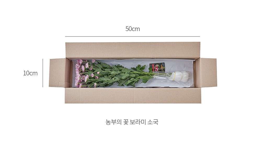 자세히보기 이미지