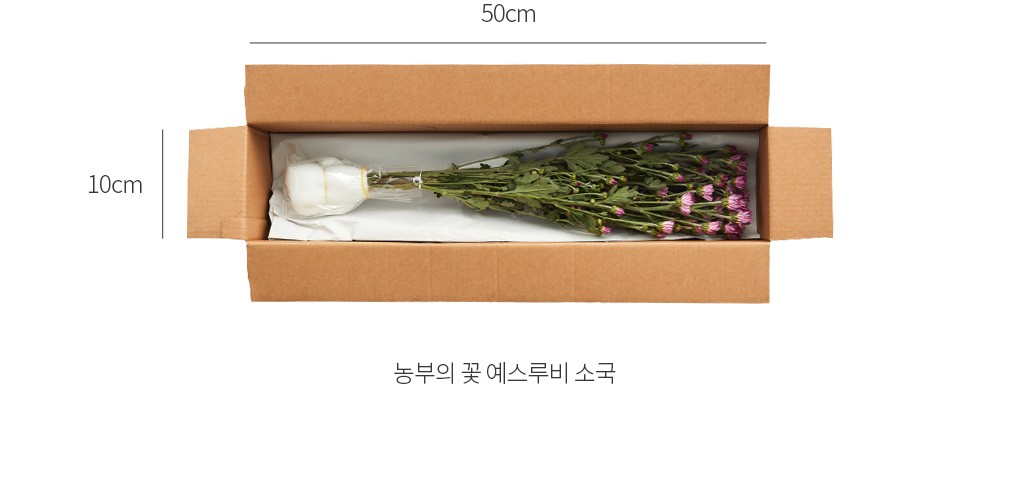 자세히보기 이미지