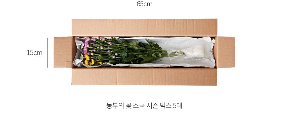 자세히보기 이미지