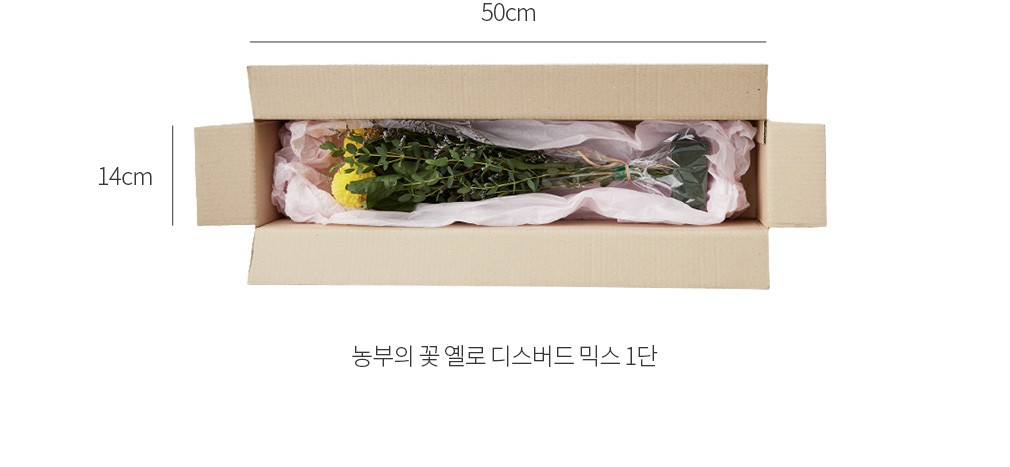 자세히보기 이미지