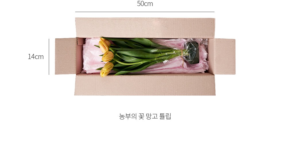 자세히보기 이미지