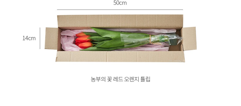자세히보기 이미지
