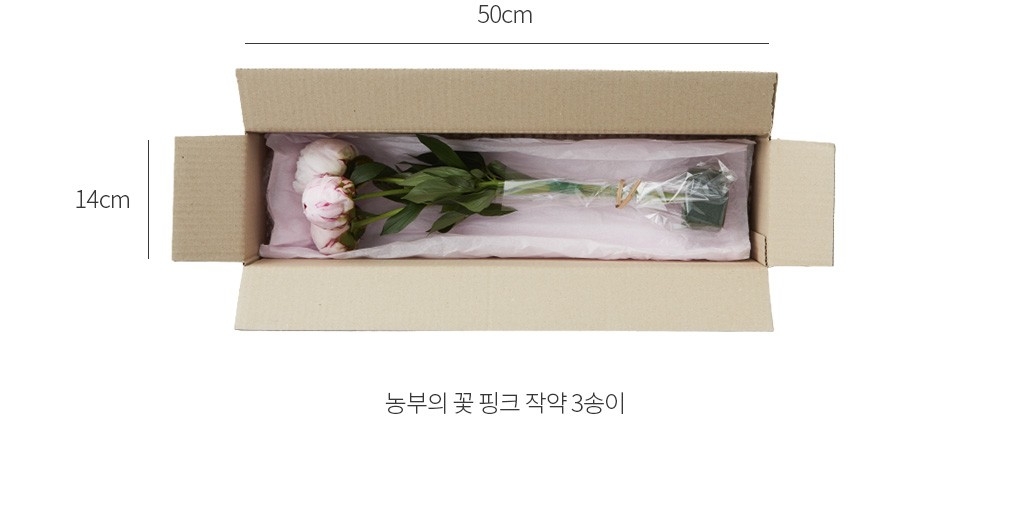 자세히보기 이미지