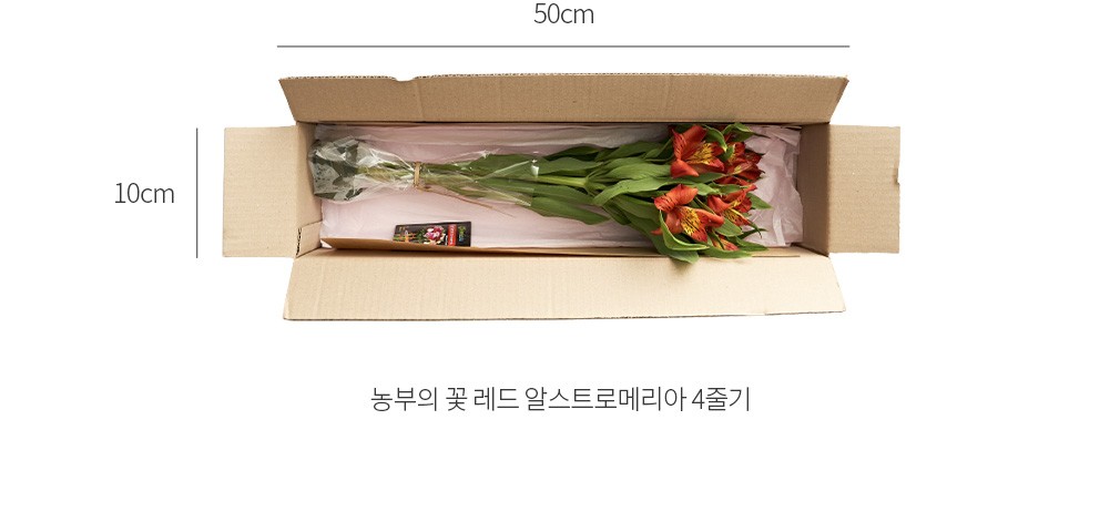 자세히보기 이미지