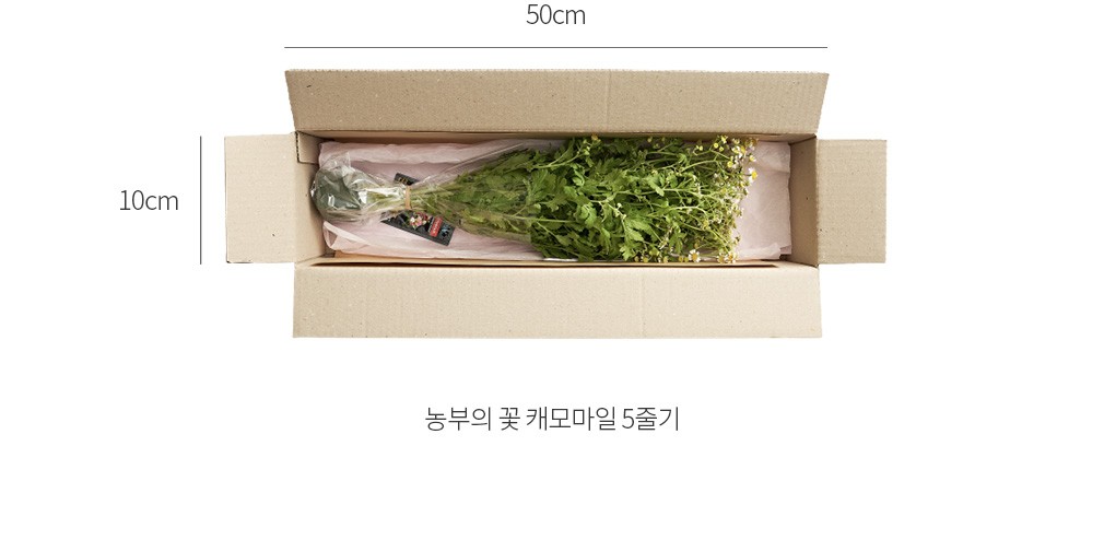 자세히보기 이미지