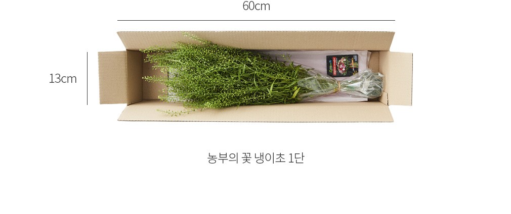 자세히보기 이미지