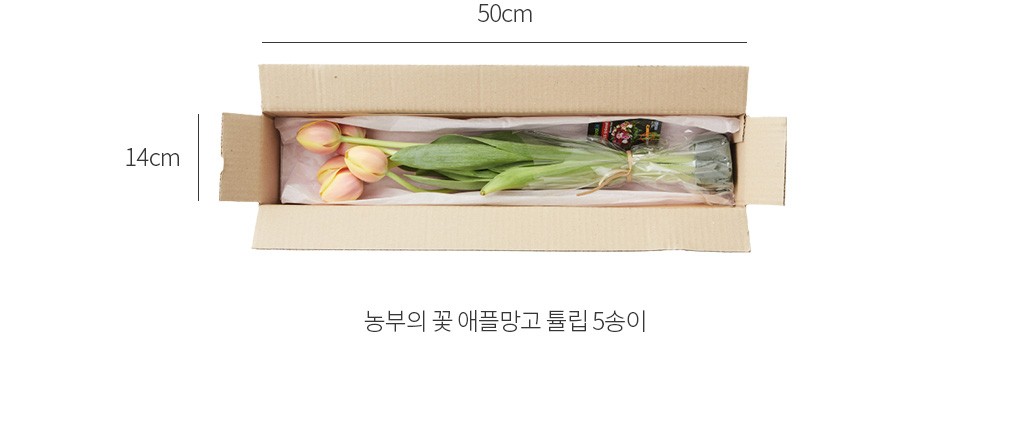 자세히보기 이미지