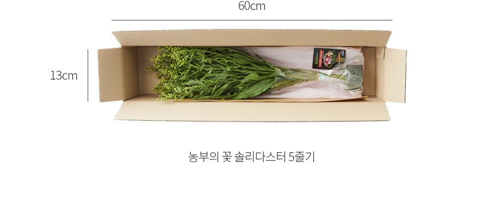 자세히보기 이미지