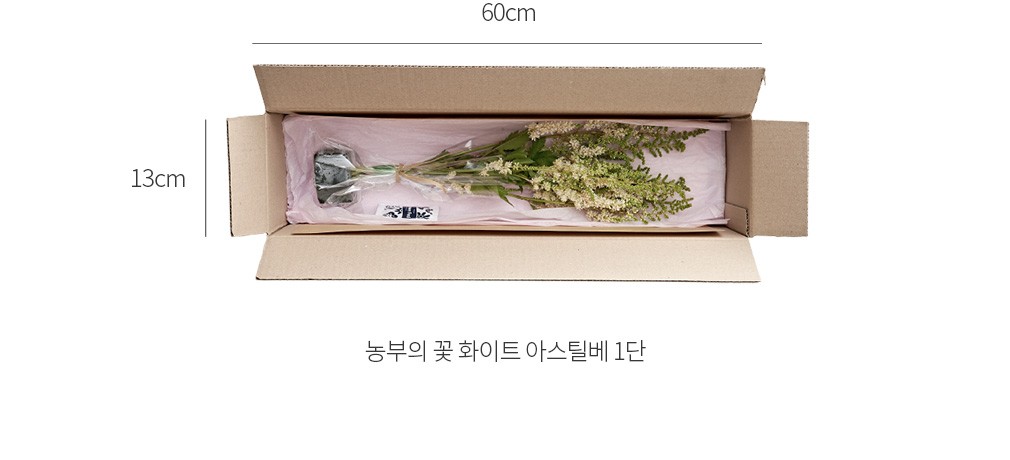 자세히보기 이미지