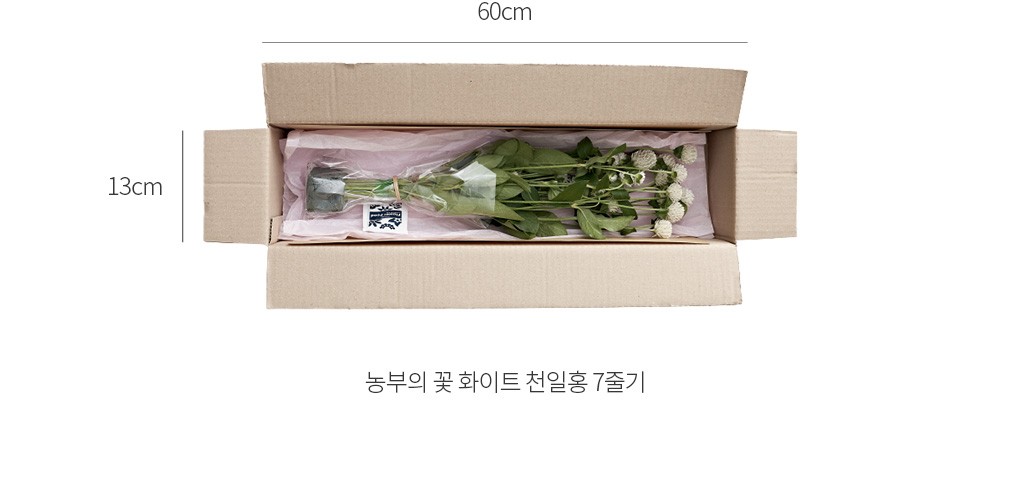 자세히보기 이미지