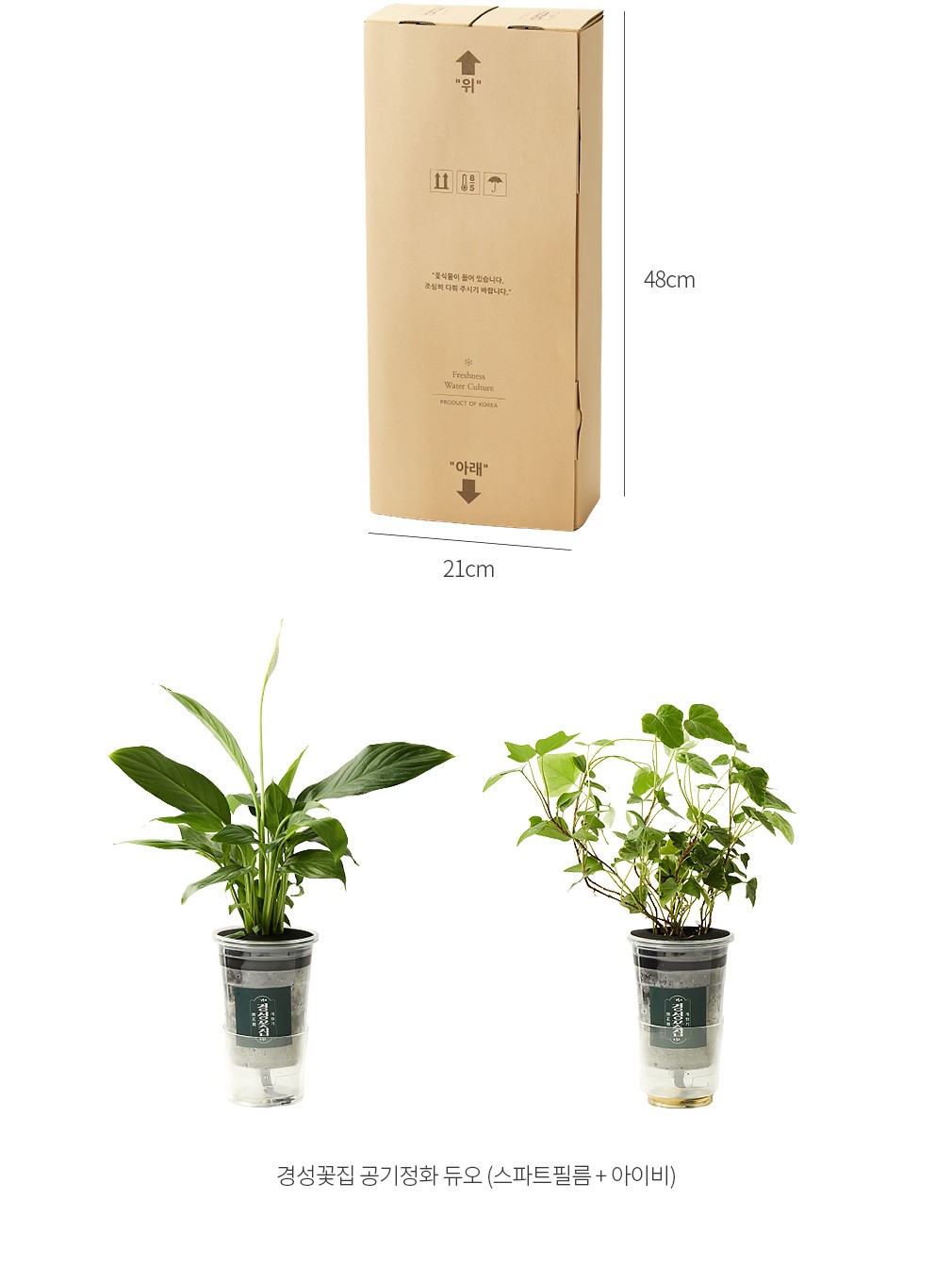 자세히보기 이미지