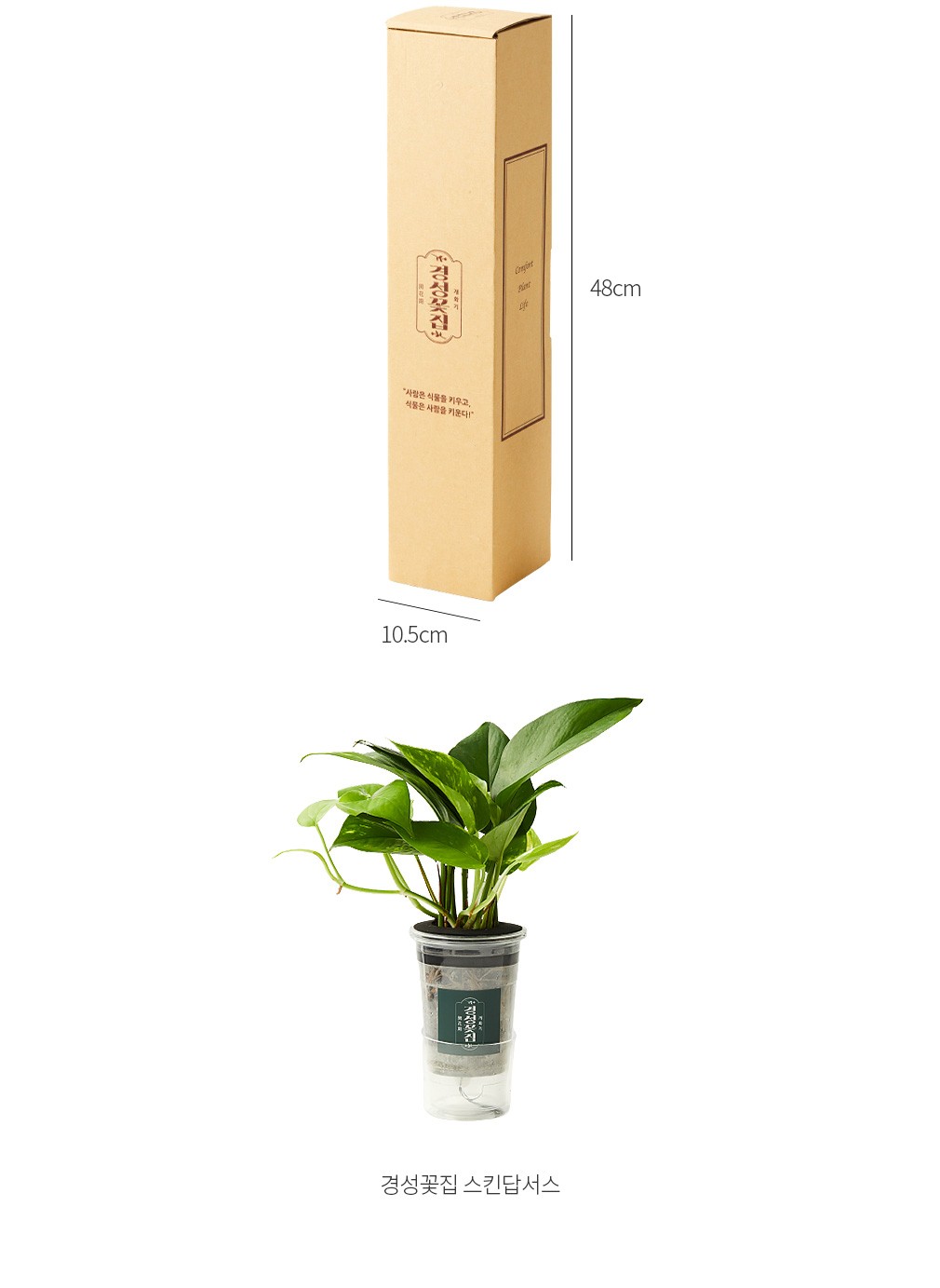 자세히보기 이미지