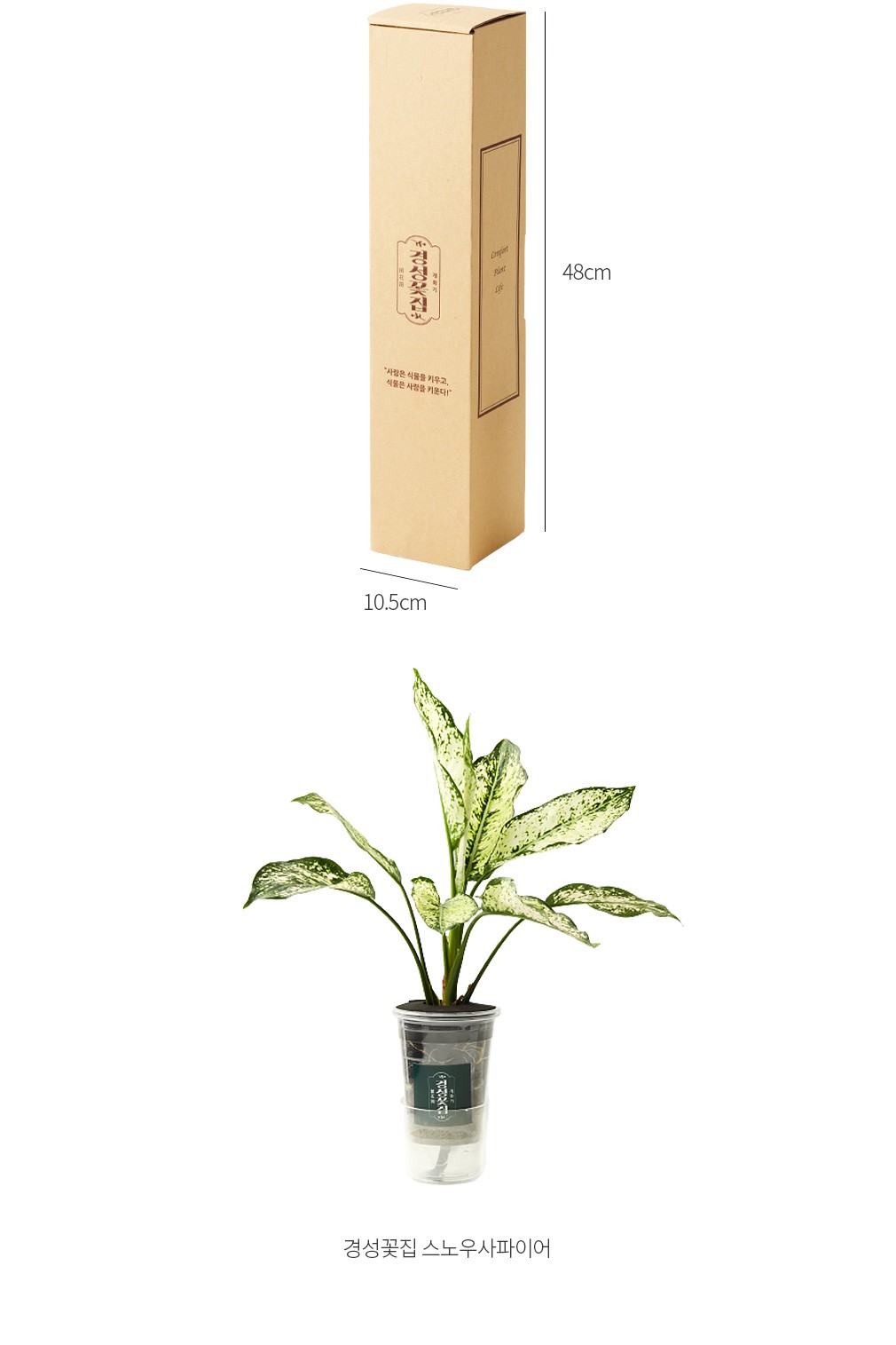 자세히보기 이미지