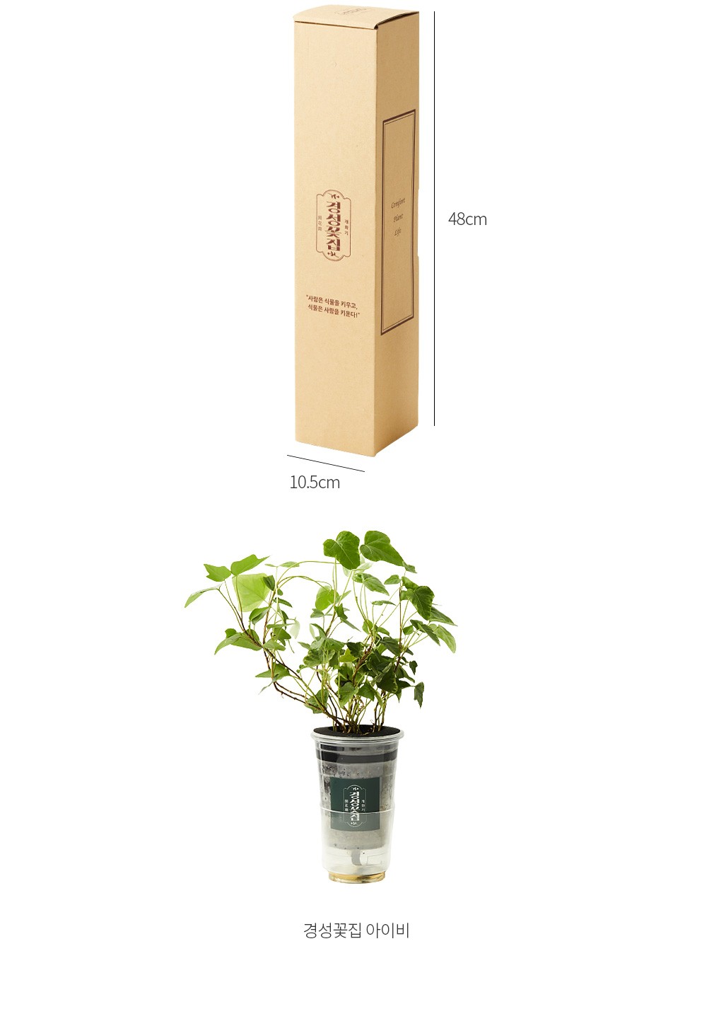 자세히보기 이미지