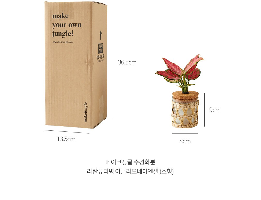 자세히보기 이미지