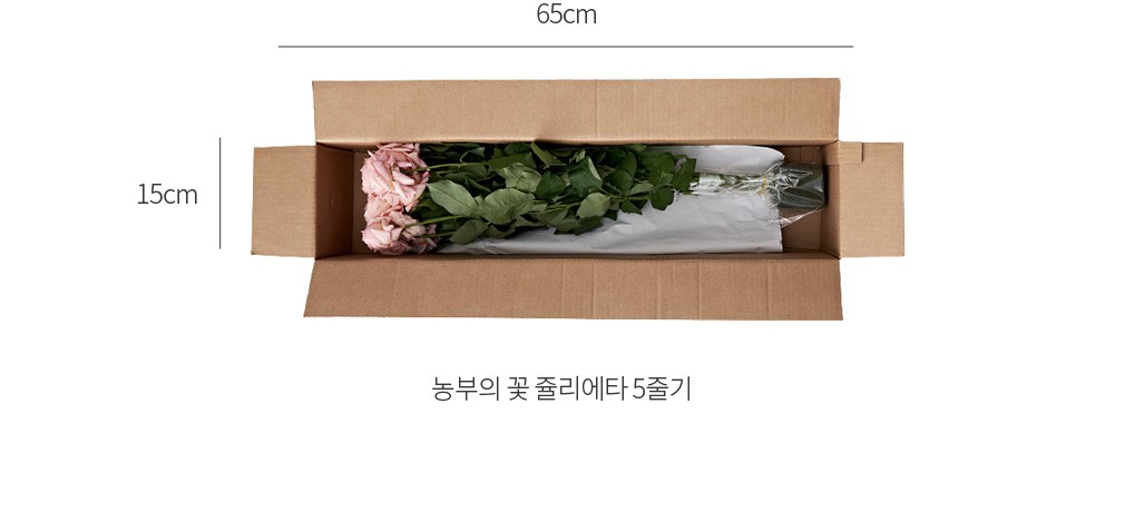 자세히보기 이미지