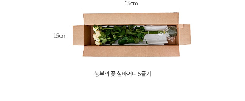 자세히보기 이미지