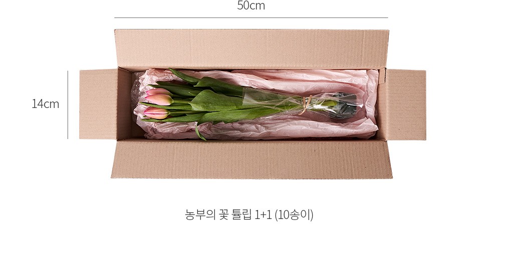 자세히보기 이미지