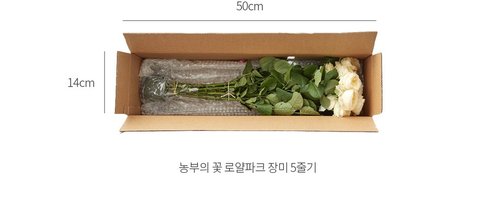 자세히보기 이미지