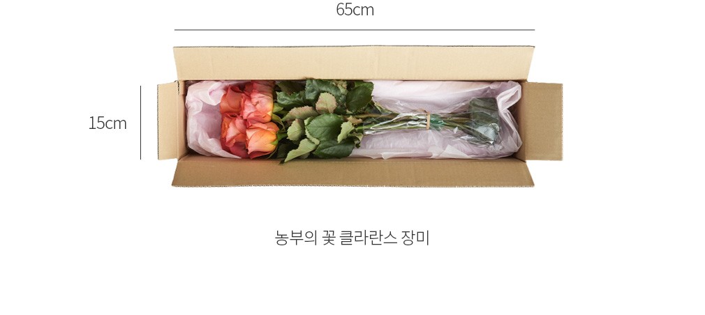 자세히보기 이미지