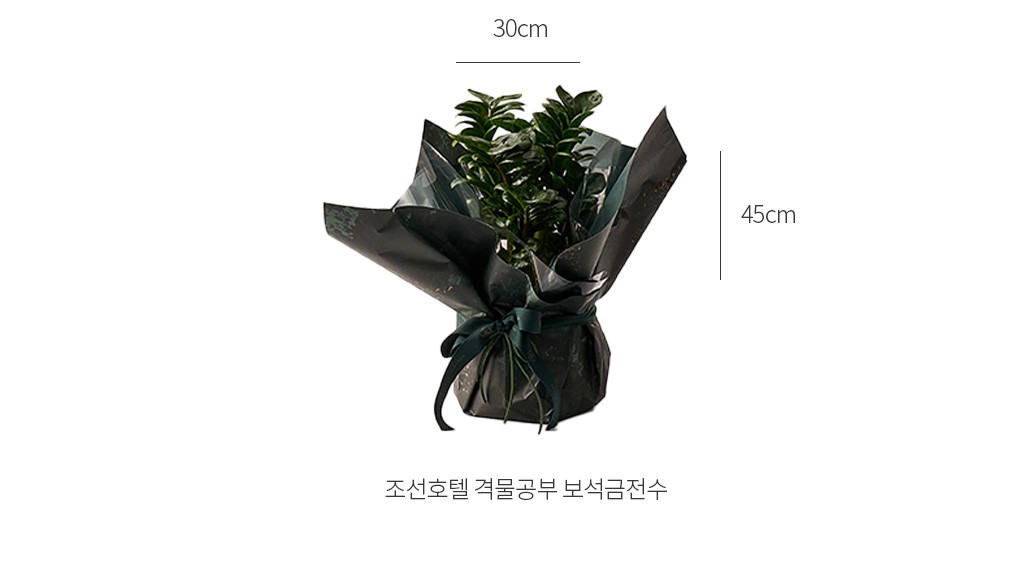 자세히보기 이미지