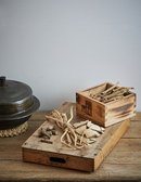 친환경 삼계탕 재료 2종