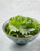 시소잎 1팩