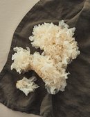친환경 은이버섯 200g
