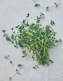 타임 10g