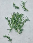 로즈마리 10g
