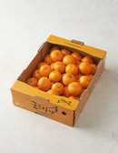 [귤로장생] 타이벡 감귤 2.5kg (로얄과)