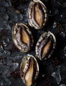 [청산바다 ASC인증] 지속가능한 친환경 전복 (4마리) (개당 50g 내외) (생물)