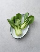 친환경 청경채 2종