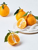 당도선별 한라봉 1kg (3~5입)