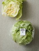 양상추 1입(200g)