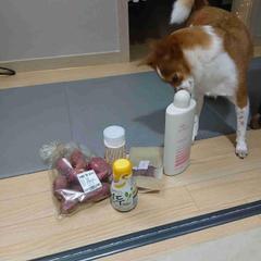 상품 후기